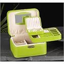 Bey-Berk Jewelry / Watch Case in Lime Leather BB534LIM