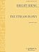 Search : The Stream Flows: for Solo Viola