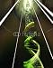 Wallmonkeys Peel and Stick Wall Decals - Adn éscalier - Removable Graphic