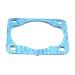 Gasket, Cylinder