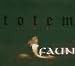 Anklicken zum Vergrößeren: Faun - Totem (Ltd.Digipack Book Case) (Audio CD)