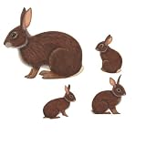 Wild Life Animals Wall Sticker Mural Momma Rabbit Wild Life Animals Wall Sticker Mural Momma Rabbit