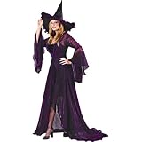 Witch Shimmering Rose Costume - Adult