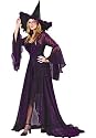 Witch Shimmering Rose Costume - Adult - Small / Medium (2-8)