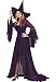Witch Shimmering Rose Costume - Adult - Medium / Large (8-14)