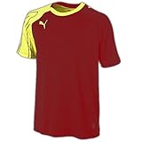PUMA T-Shirt v.10 Polyester Tee