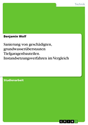 Sanierung von geschädigten, grundwasserüberstauten Tiefgaragenbauteilen. Instandsetzungsverfahren im Vergleich (German Edition)