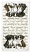 boxer47 - Boxer Kitchen Towels