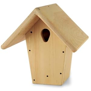 10in Plain Nest Box