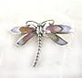 Sterling Silver Shell Inlay Dragonfly Brooch