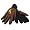 Wyoming Cowboys