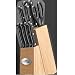 Ginsu Essential Series 10-Piece Stainless Steel Knife Set with Triple Riveted Polymer Handles and Natural Block 4898