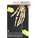 The Bone Lady: Life as a Forensic Anthropologist