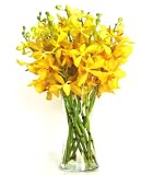 Fresh Flowers - Yellow Mokara Ordhids with Vase