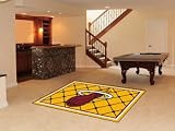 Miami Heat Rug 5x8 60x92" "