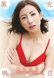 山内明日 風光明日 [DVD]