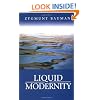 Liquid Modernity