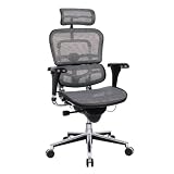 Ergohuman ME7ERG Gray Mesh ergonomic chair with headrest