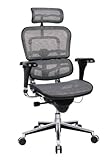 Ergohuman ME7ERG Gray Mesh ergonomic chair with headrest
