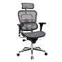 Ergohuman ME7ERG Gray Mesh ergonomic chair with headrest