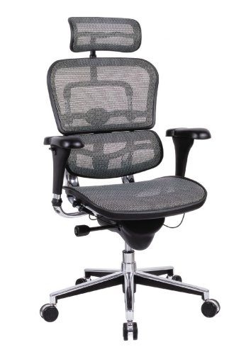 Ergohuman ME7ERG Gray Mesh ergonomic chair with headrest