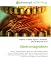 Electromagnetism: Physics, Electromagnetic field, Force, Elementary particle, Electric charge, Magnetic field, Electric field, Faraday's law of induction, ... Electric current, Magnet, Special relativity