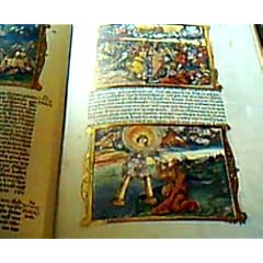 Zerbster Prunkbibel "Cranachbibel", die Apokalypse : [d. Apokalypse aus d. Zerbster Prunkbibel ("Cranachbibel") nach d. �bers. von Martin Luther, gedr. im Jahre 1541 von Hans Lufft in Wittenberg , mit kolor. Holzschn. vers. durch d. Werkstatt Lucas Cranach d.J.].