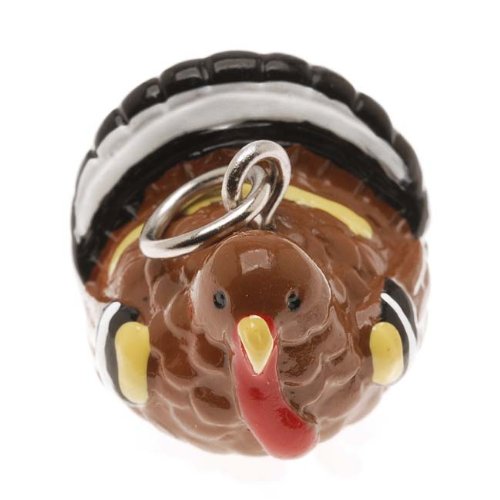Hand Painted 3-D Thanksgiving Turkey Jewelry 