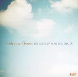 Sculpting Clouds