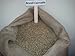 Brazil Cerrado 100% Arabica - Natural 17/18 Screen Coffee Beans (Light Roast (City), 5 pounds Whole Beans)