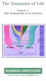 The Domains of Life, Program 2: The Eukaryotic Cell Evolves