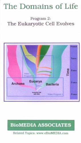 The Domains of Life, Program 2: The Eukaryotic Cell Evolves