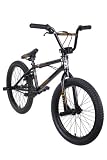 Eastern Bikes 2010 Ramrodder BMX Bike