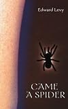 Came a Spider