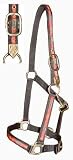 New Nylon Halter with Fancy Aztec Overlay