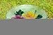 Evergreen 2GB027 Glass Bird Bath, Hibiscus Flower, 18-Inches Diameter