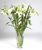 Review Bunches Florapost Ltd.  / Longiflorum Lilies