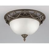 Westinghouse #67599 2LGT Ebony Ceiling Fixture