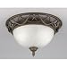 Westinghouse #67599 2LGT Ebony Ceiling Fixture