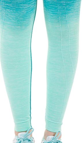 Women's Ombre Seamless Yoga Legging Pants (Aqua,Small)