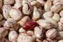 Borlotti Beans