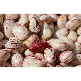Borlotti Beans by 