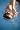 Finis SwiMP3 v2 1GB Waterproof MP3 Player