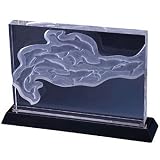 Bluestone Design Crystal Times 9 Dolphins Under the Sea