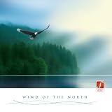 CD Wind of the North: Irisch-keltische Musik - GEMA-frei. Belebend, f�r eine positive, optimistische Stimmung.von "Santec Music Orchestra"