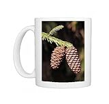 DAD-345 Sargent Spruce - cone Photo Mugs