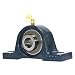 FYH UCP202-10 Pillow Block Mounted Bearing, 2 Bolt, 5/8" Inside Diameter, Set screw Lock, Cast Iron, Inch