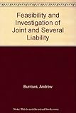 Feasibility investigation of joint and several liability