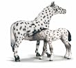 Knabstrupper Mare