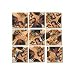 B Dazzle Lewis and Clark Scramble Squares 9 Piece Puzzle